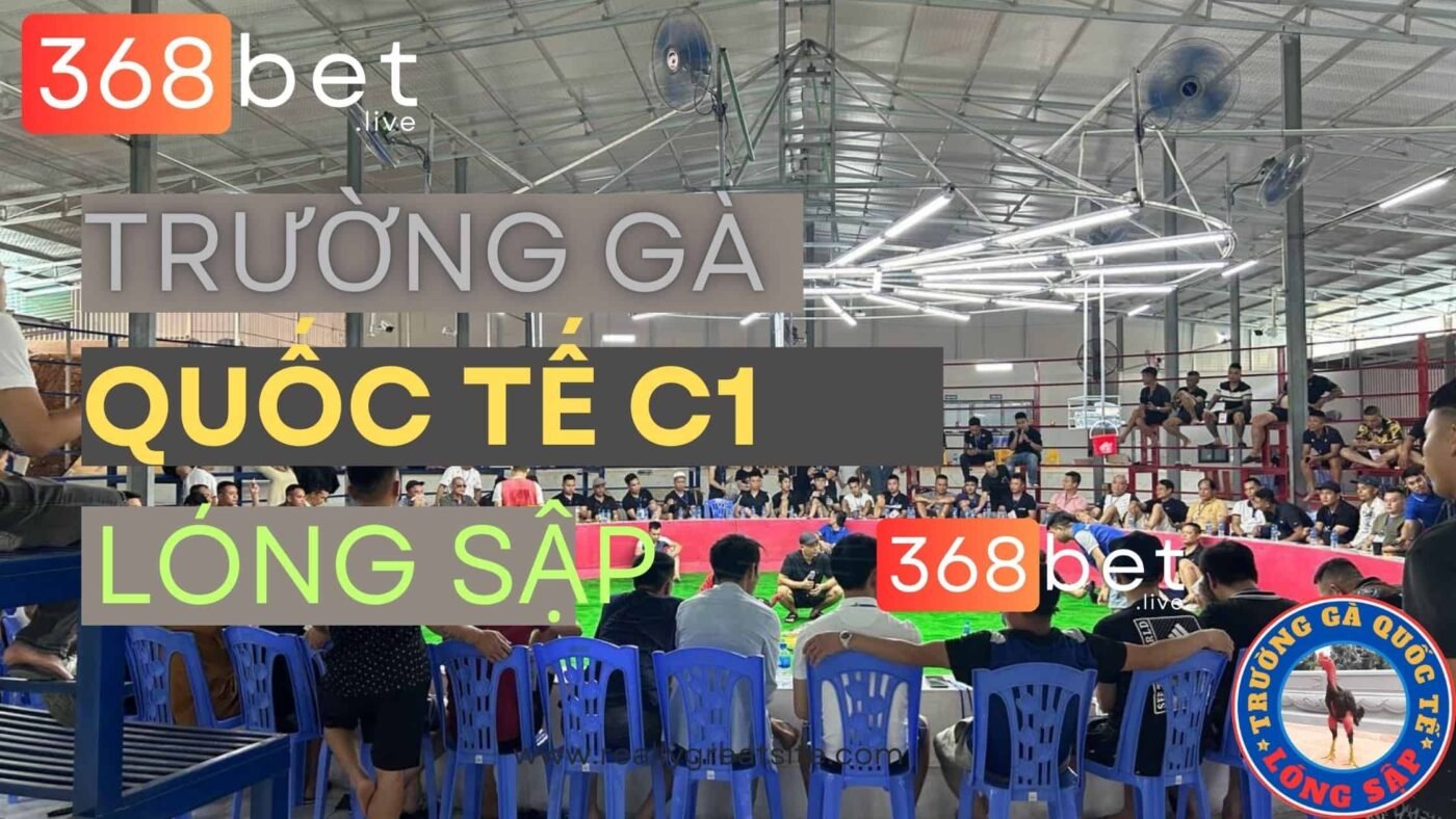 Đá Gà C1 Lóng Sập GÀ CHỌI C1 Lóng Sập TRỰC TIẾP