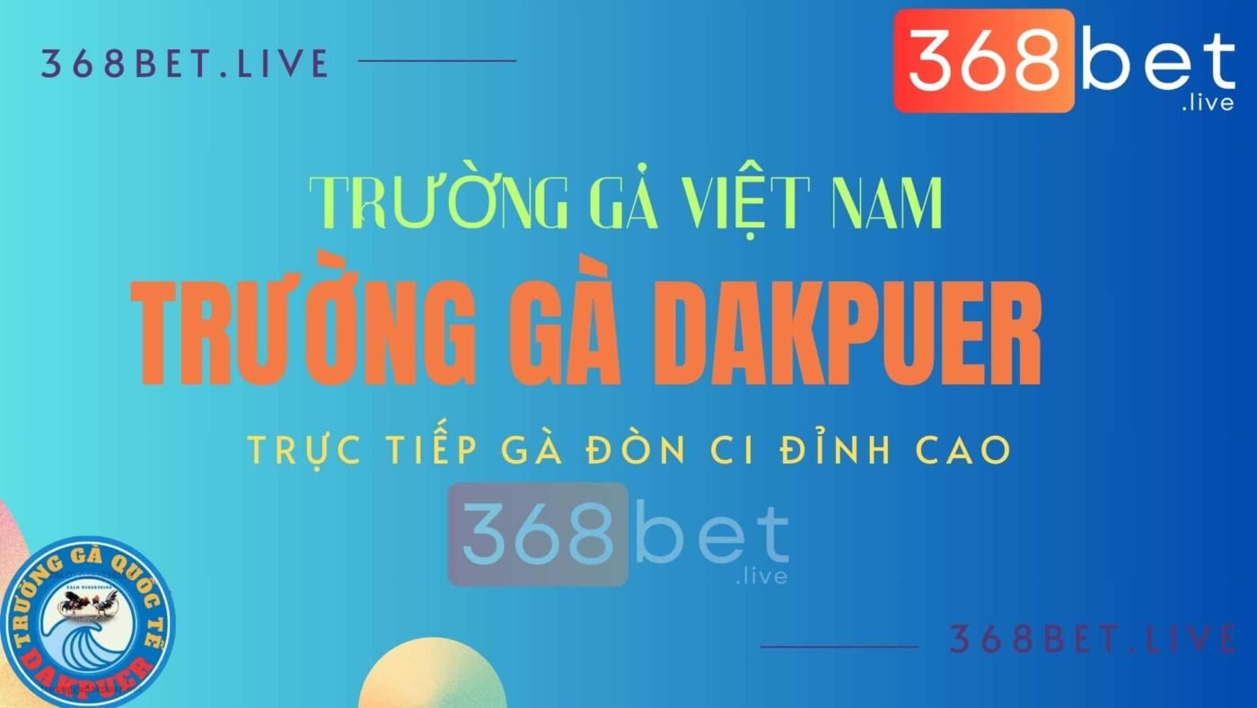 đá gà dakpuer trực tiếp tại trường gà việt nam