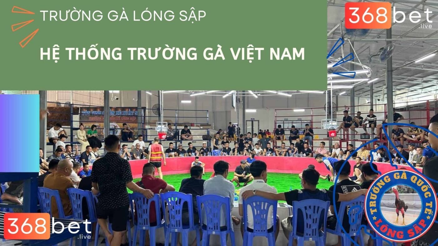 trường gà việt nam 368bet